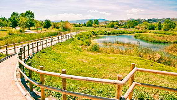 Taxival.net Gandía Parque Natural de la Marjal